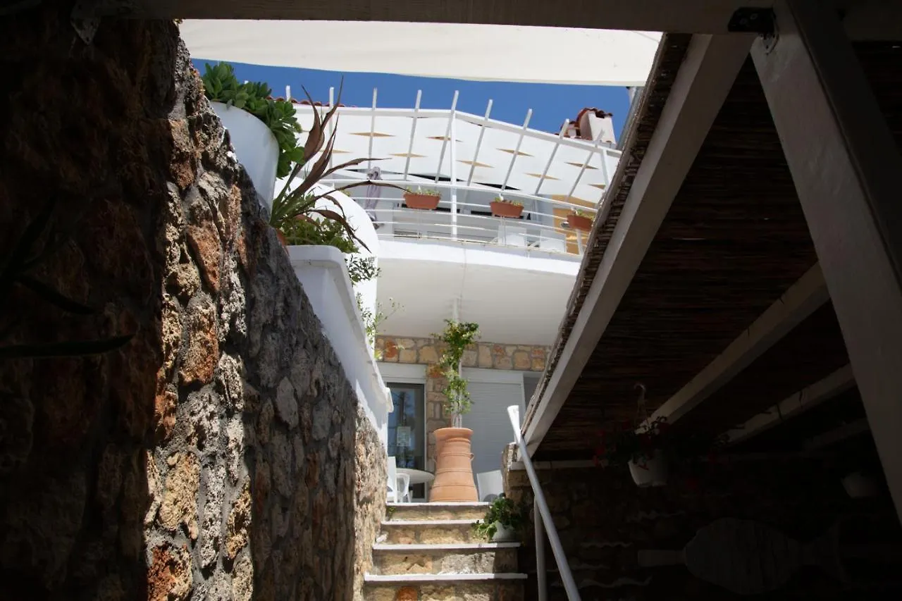 The Ocean Beach House Agia Paraskevi  Agia Paraskevi (Kassandra)